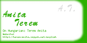 anita terem business card